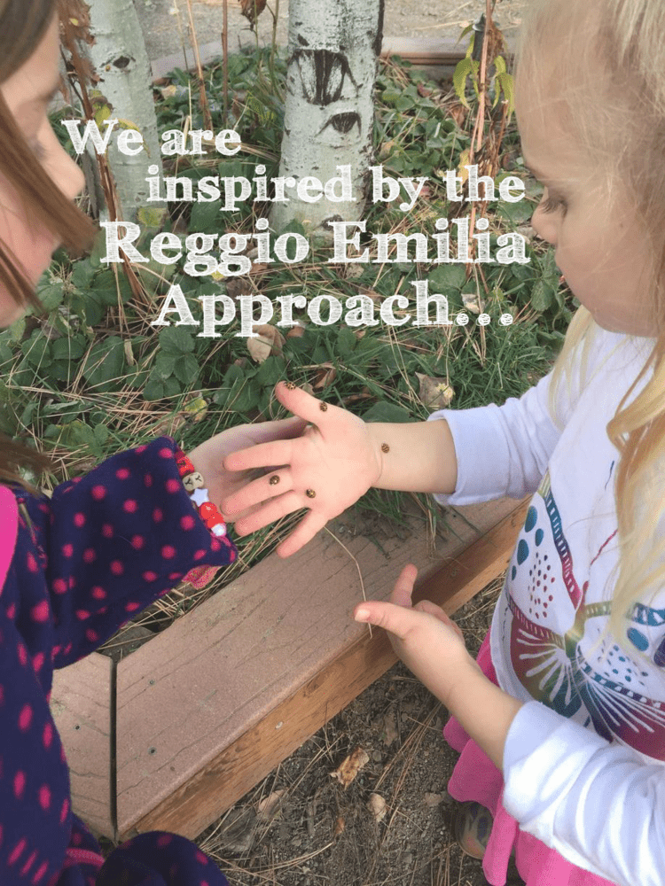 We are inspired by the Reggio Emilia Approoach...