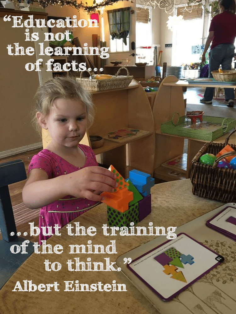 "Education is not the learning of facts but the training of the mind to think." - Albert Einstein
